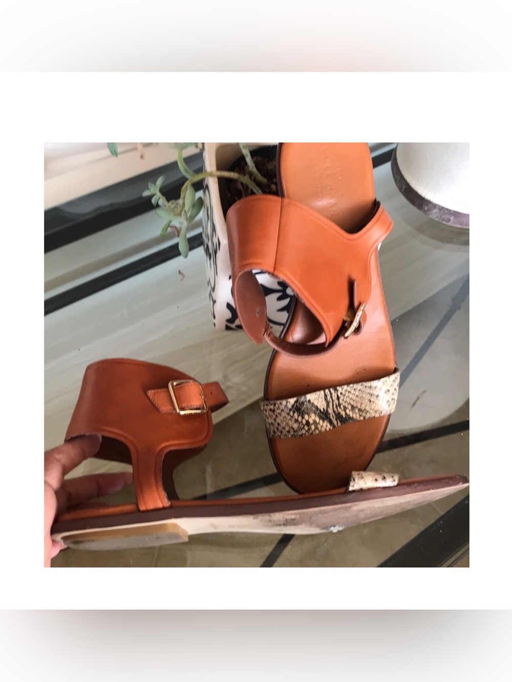 Cole Haan flat ankle strap sandals with snake skinny straps‎ size 8 used
